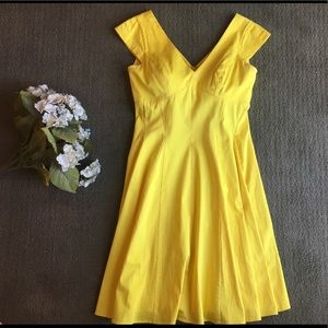 Calvin Klein Skater Dress